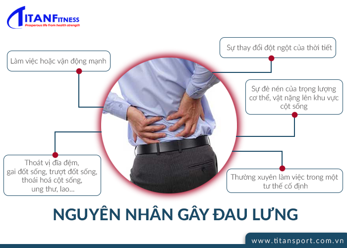 nguyên nhân khiến bán bị đau lưng