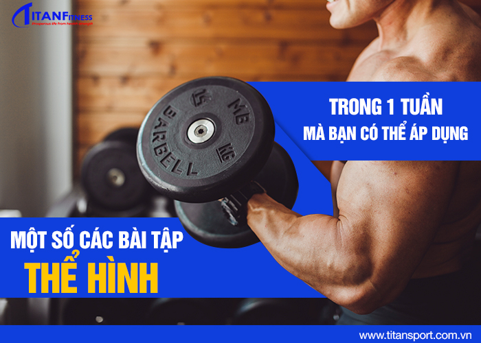 các bài tập thể hình trong 1 tuần