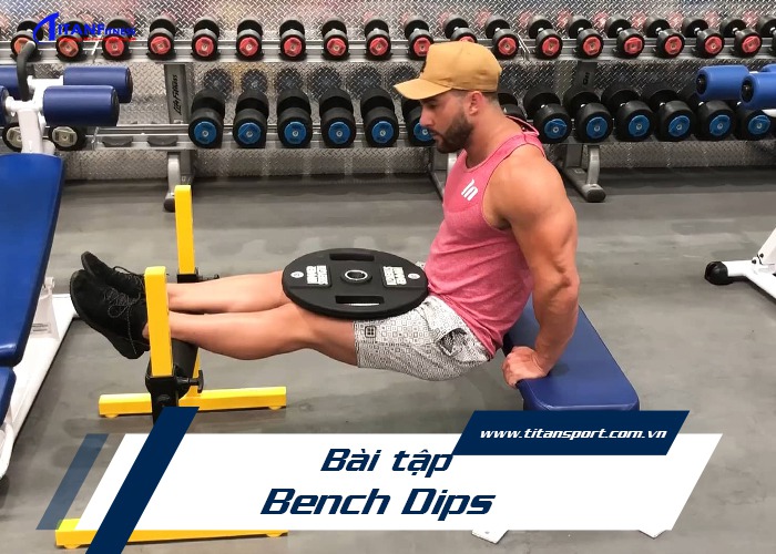 các bài tập gym tăng cơ giảm mỡ