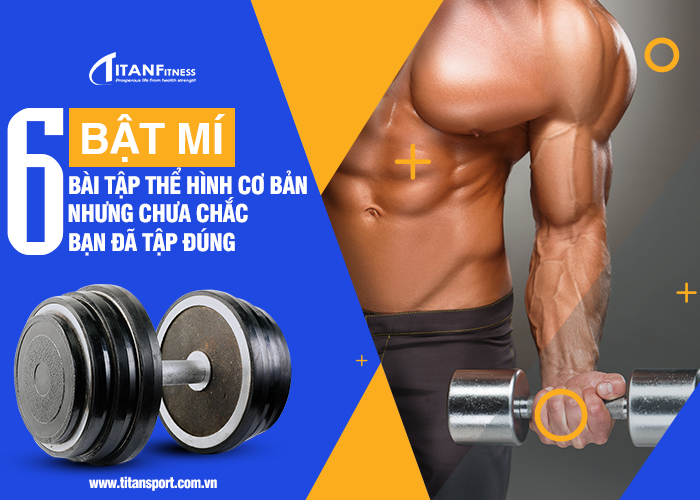 bài tập thể hình cơ bản
