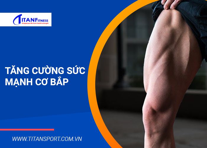 Tăng cường sức mạnh cơ bắp