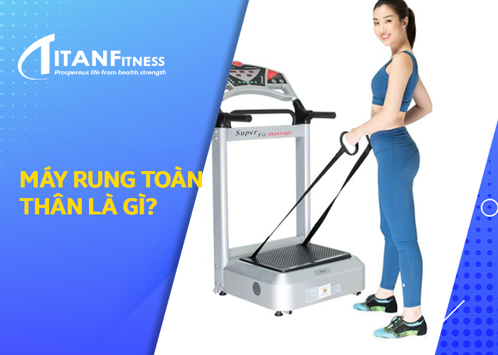 Máy rung toàn thân là gì?