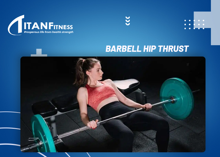 Bài tập Barbell Hip Thrust (nằm đẩy tạ trên ghế phẳng)