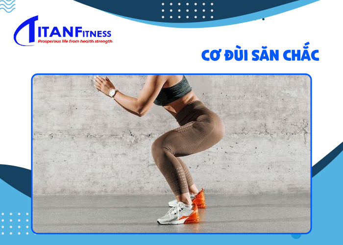 Cơ đùi săn chắc