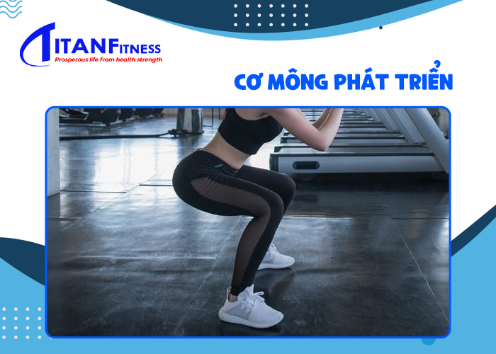 Cơ mông phát triển