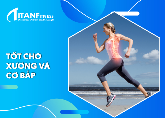Tốt cho hệ cho xương khớp và cơ bắp