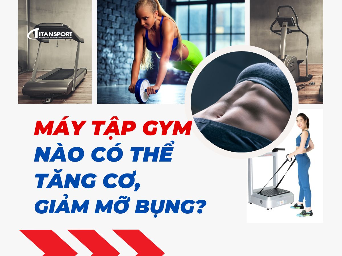 may-tap-gym-nao-co-the-tang-co-giam-mo-bung