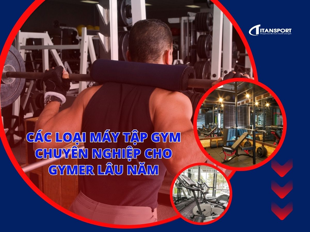 cac-loai-may-tap-gym-chuyen-nghiep-cho-gymer-lau-nam