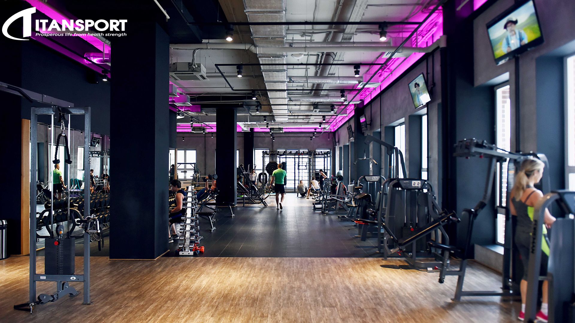 Mô hình phòng Gym Doanh nghiệp Q5