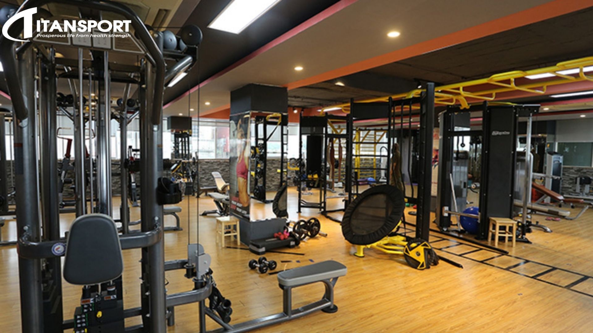 Mô hình phòng Gym Kinh doanh, Quận Bình Tân