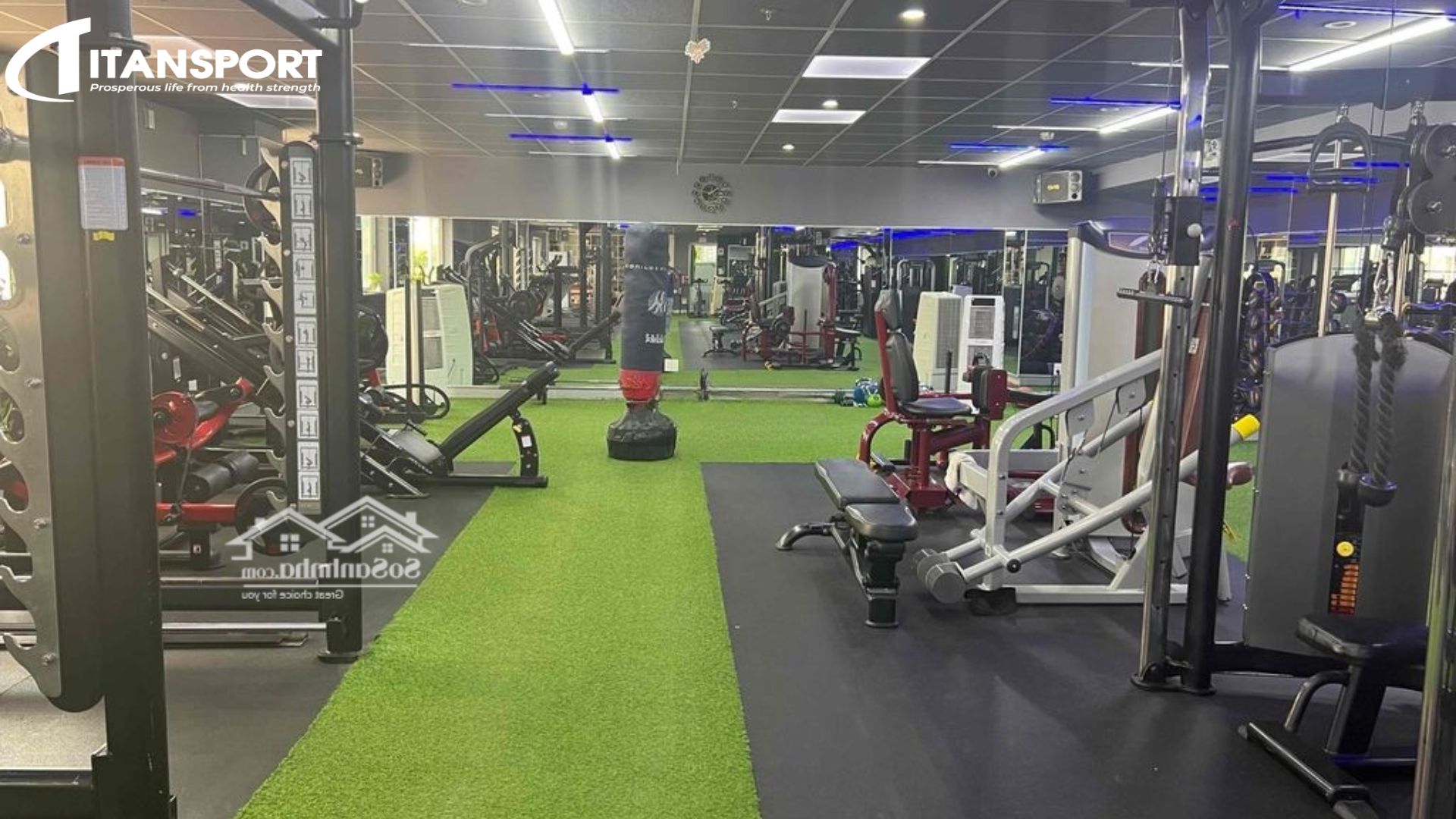 Mô hình phòng Gym trường học, doanh nghiệp, quận 7