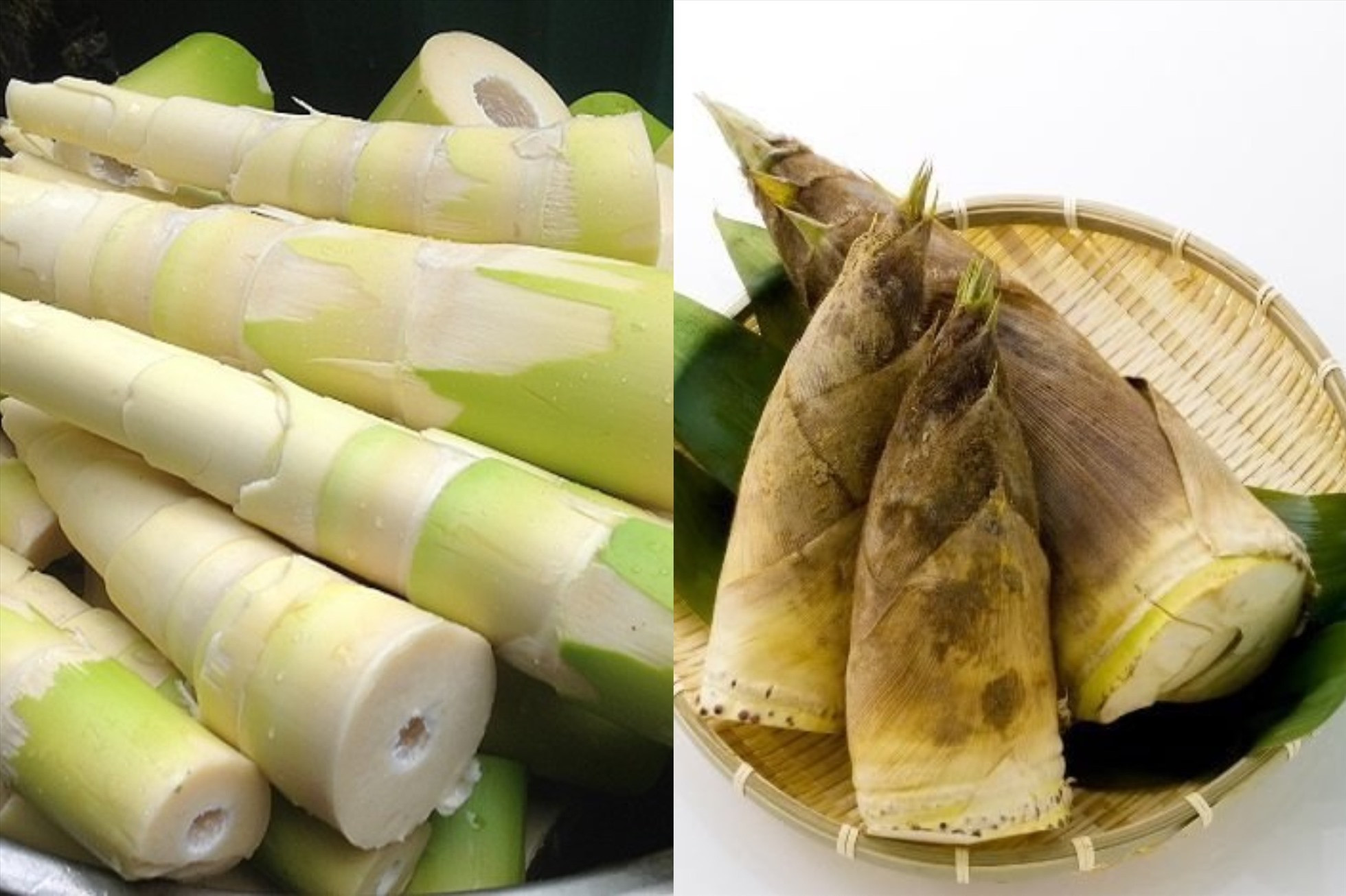 Măng bao nhiêu calo? Nên ăn măng khô hay măng tươi