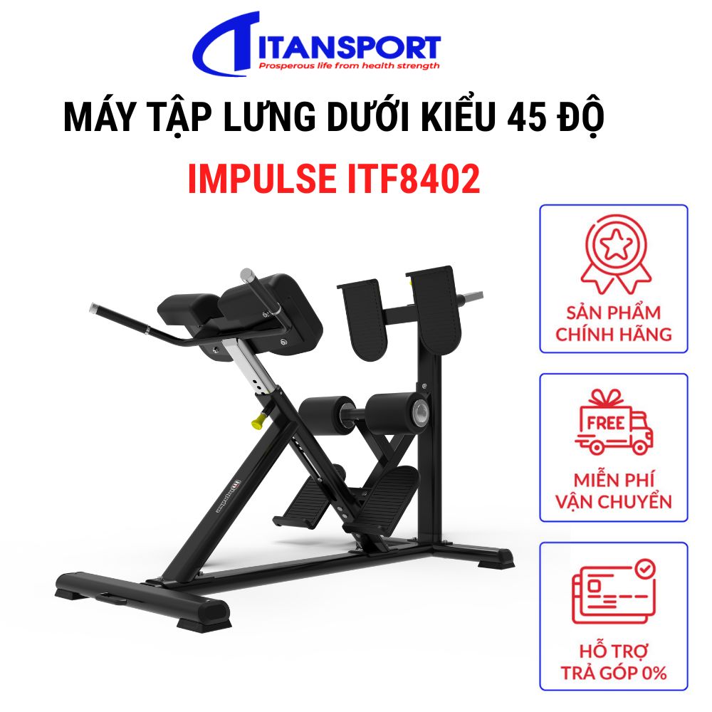 MÁY TẬP LƯNG DƯỚI KIỂU 45 ĐỘ ITF8402 - IMPULSE