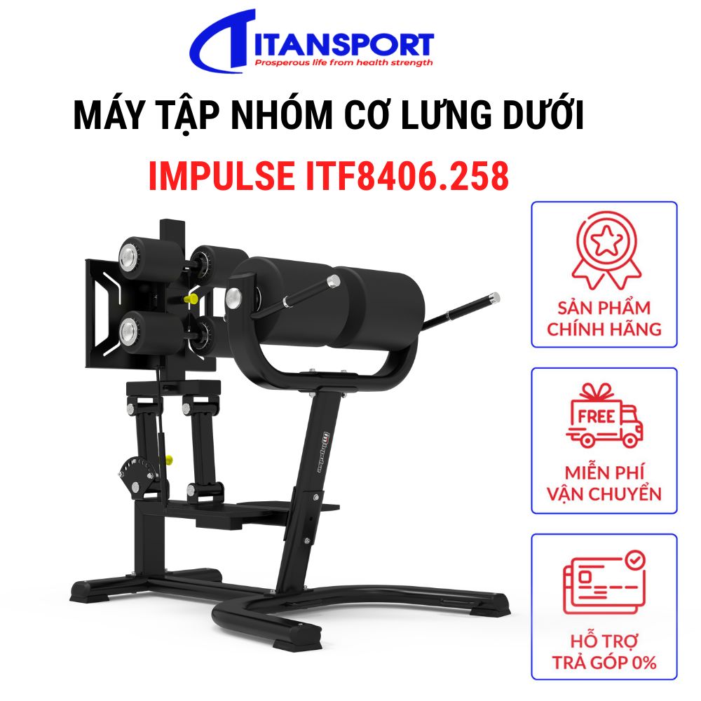 MÁY TẬP NHÓM CƠ LƯNG DƯỚI IMPULSE ITF8406
